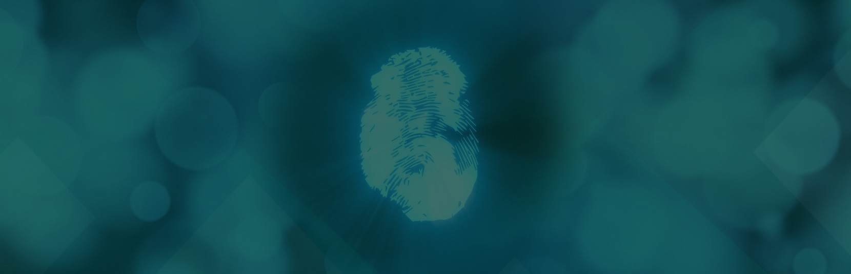 Digital Identity, Fingerabdruck